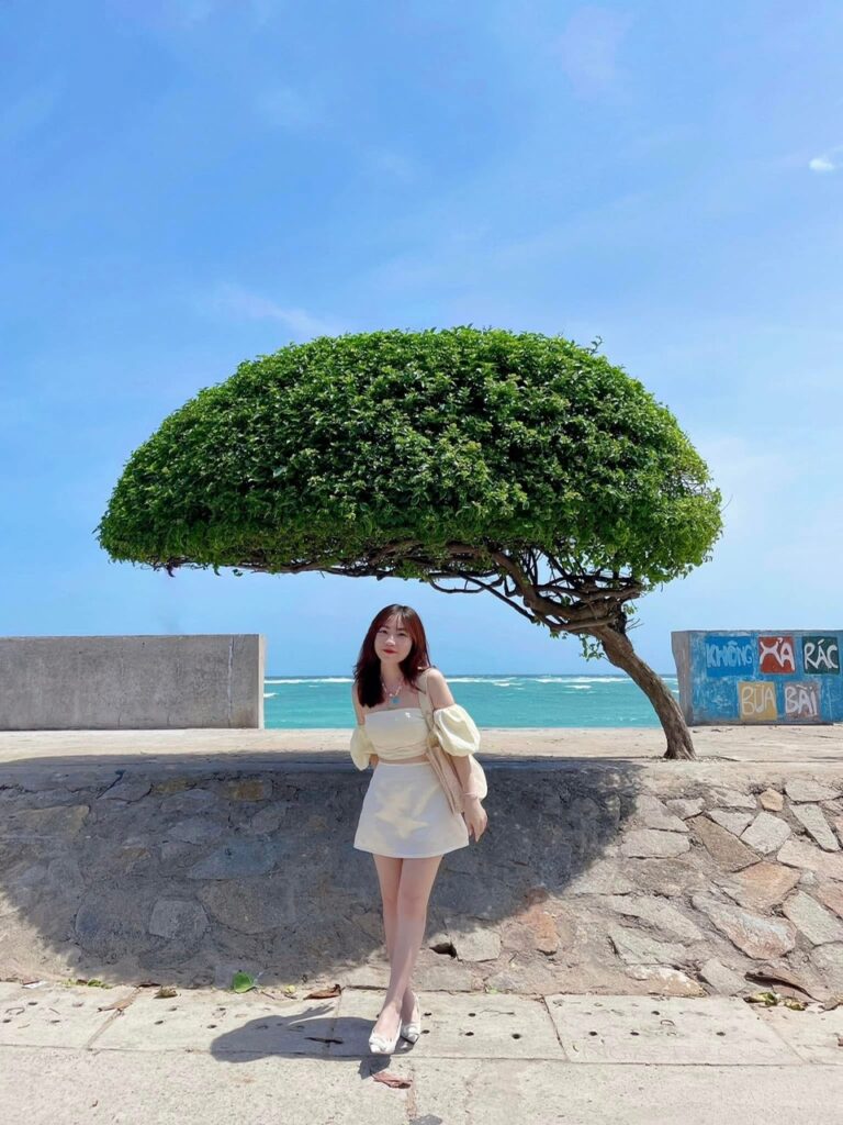 Cây Cô Đơn (Bờ kè làng chài Tam Thanh)